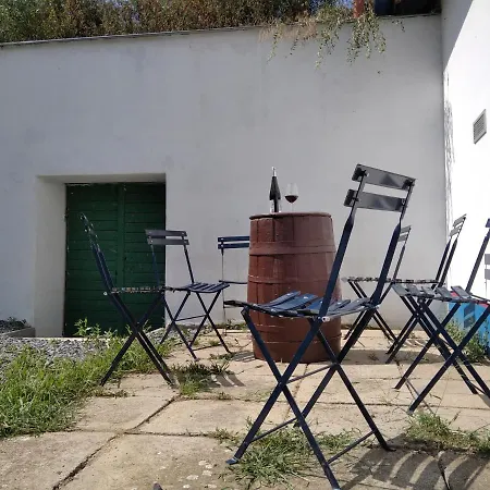 Villa Sklípek Na Císařské à Moravany  Extérieur photo