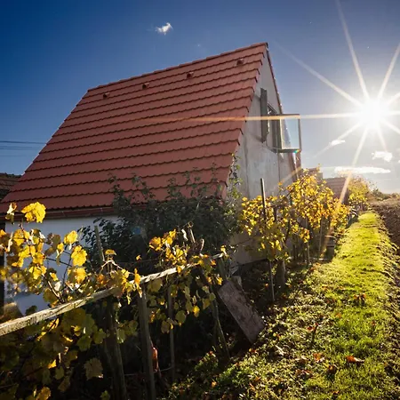 Villa Sklípek Na Císařské à Moravany  Extérieur photo