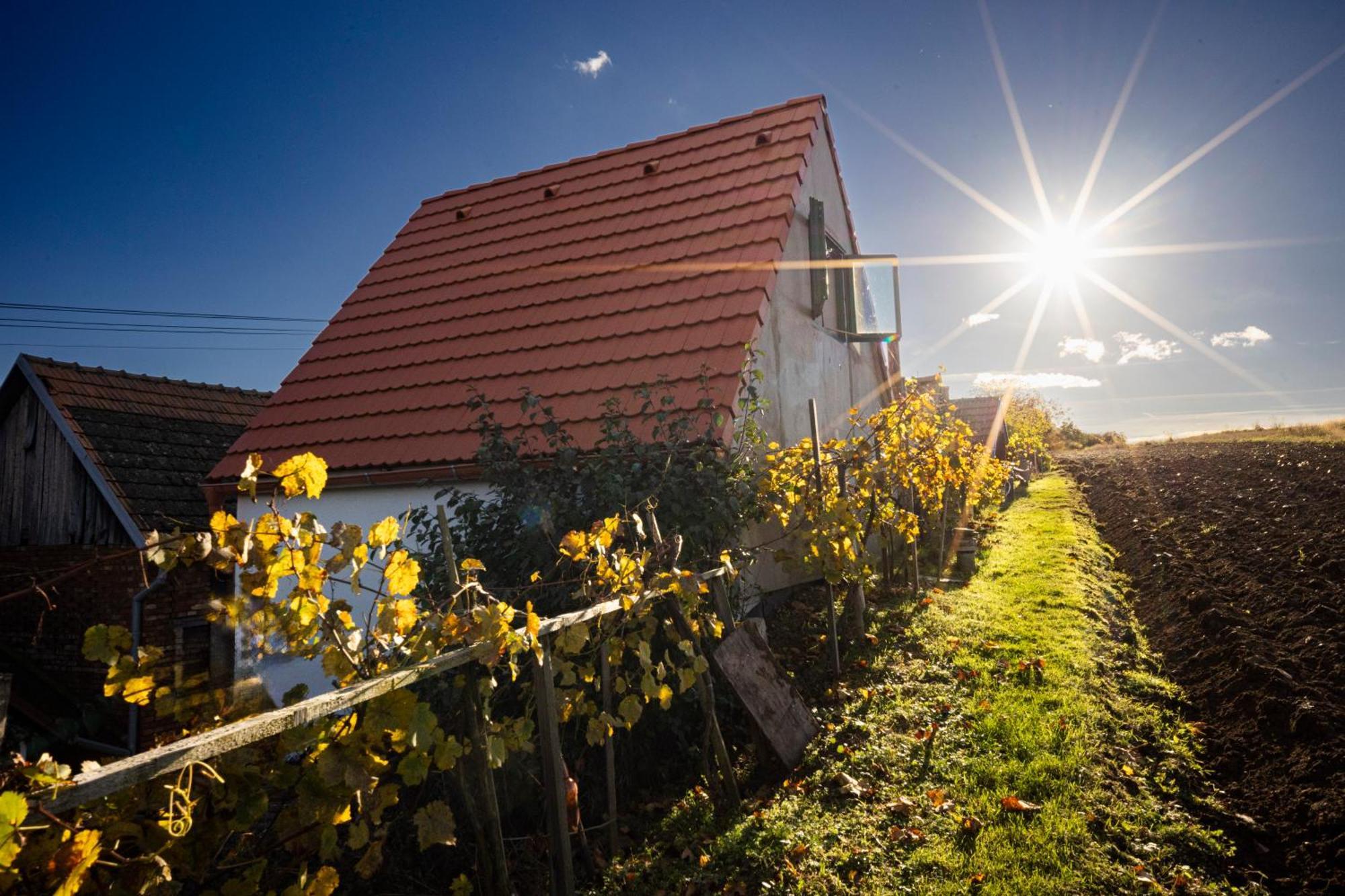 Holiday home Sklipek Na Cisarske Moravany (Hodonin)
